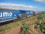 RUMO 9867